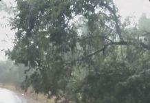 Hombre muere tras intentar cruzar arroyo crecido en Mapastepec