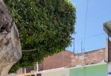 Sexagenario fallece al interior de su vivienda en la colonia Magisterial