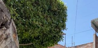 Sexagenario fallece al interior de su vivienda en la colonia Magisterial
