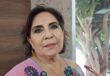 50+1 exige recursos y nuevas políticas públicas para prevenir feminicidios