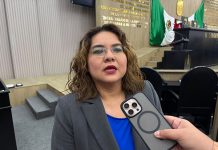 Menos recursos federales limitan búsqueda de personas desaparecidas: diputada