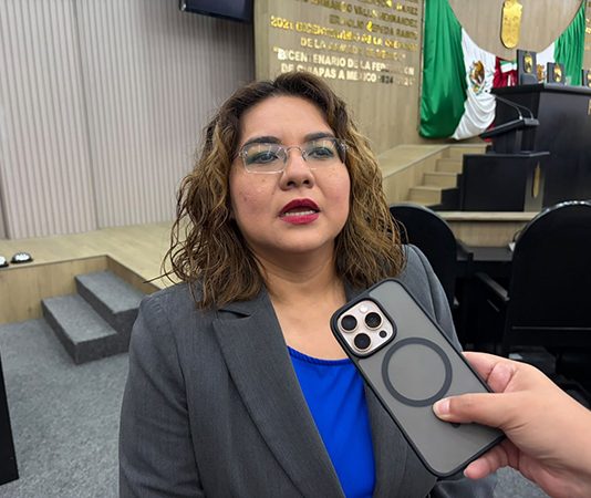 Menos recursos federales limitan búsqueda de personas desaparecidas: diputada