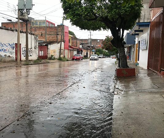 Frentes fríos en Chiapas podrían revertir parcialmente efectos de la sequía