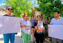 Vecinos de Shanká en Tuxtla denuncian muerte de seis perros y gatos en tres días