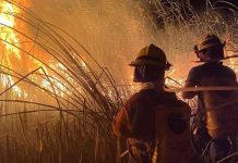 Por cuarta ocasión en el año se incendia La Ciénega