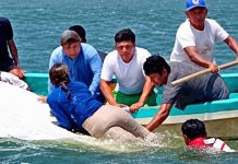 Buscan a hombre tras volcadura de lancha en Catazajá