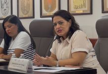 IEPC pide prudencia a partidos tras ataque en Pueblo Nuevo Solistahuacán