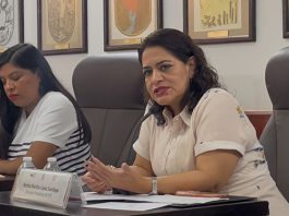 IEPC pide prudencia a partidos tras ataque en Pueblo Nuevo Solistahuacán