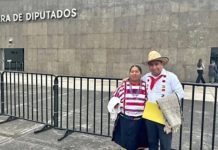 «Nos quieren borrar de la nube digital”: ingeniero mixteco pide a diputados usar IA para preservar lenguas indígenas