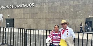 «Nos quieren borrar de la nube digital”: ingeniero mixteco pide a diputados usar IA para preservar lenguas indígenas