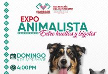 Paco Chacón invita a las familias de Tuxtla a la Expo Animalista “Entre Huellas y Bigotes”