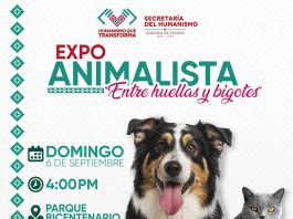 Paco Chacón invita a las familias de Tuxtla a la Expo Animalista “Entre Huellas y Bigotes”