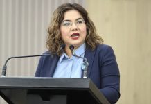 Ley de paridad necesita reglas claras: diputada del PAN en Chiapas