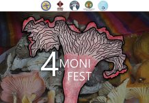 Moní Fest pondrá en el centro a los hongos silvestres de Chiapas