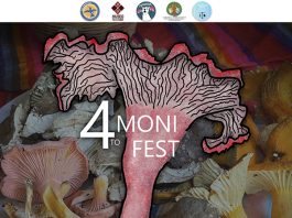 Moní Fest pondrá en el centro a los hongos silvestres de Chiapas