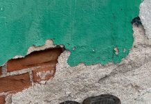 Serpiente aparece en la zona centro de Cintalapa