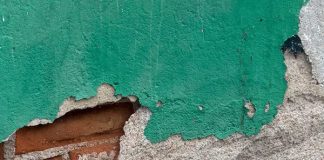 Serpiente aparece en la zona centro de Cintalapa