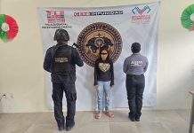 Aprehenden a presunta responsable de encubrimiento por favorecimiento