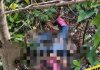 Joven hallada muerta entre matorrales de El Bosque