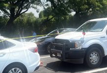 Hallan muerto a Zenyazen Escobar, diputado federal de Morena por Veracruz