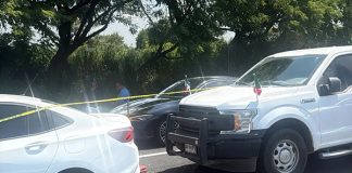 Hallan muerto a Zenyazen Escobar, diputado federal de Morena por Veracruz