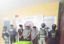 Detiene SSP a tres masculinos por delitos contra la salud en Ocozocoautla de Espinosa