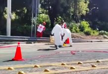 Desconocida muere atropellada sobre la vía de cuota