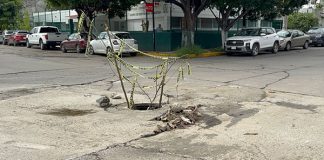Drenaje abierto y aguas negras ponen en riesgo a vecinos de la colonia Moctezuma