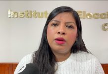 IEPC busca impedir candidaturas de deudores alimentarios y sancionados por violencia política