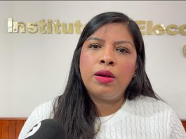 IEPC busca impedir candidaturas de deudores alimentarios y sancionados por violencia política