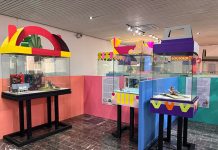 Llega al Museo Regional la exposición “La materia de los sueños”de Roberto Ramos