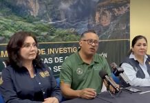 Sequía y pérdida de biodiversidad, entre los retos de la Selva Zoque
