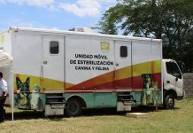 SS convoca a la Jornada Masiva de Esterilización de perros y gatos