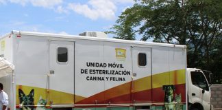 SS convoca a la Jornada Masiva de Esterilización de perros y gatos