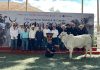Asamblea ganadera nacional llegará a Chiapas en 2027