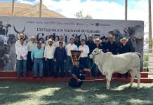 Asamblea ganadera nacional llegará a Chiapas en 2027