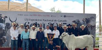 Asamblea ganadera nacional llegará a Chiapas en 2027