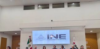 Renuncian tres funcionarios del INE ligados a Guadalupe Taddei